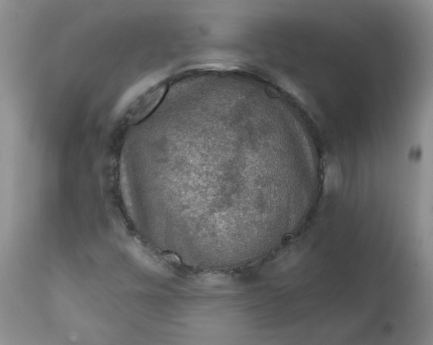 X0000112021448200908241503