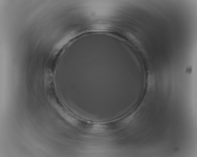 X0000112021449200908241503