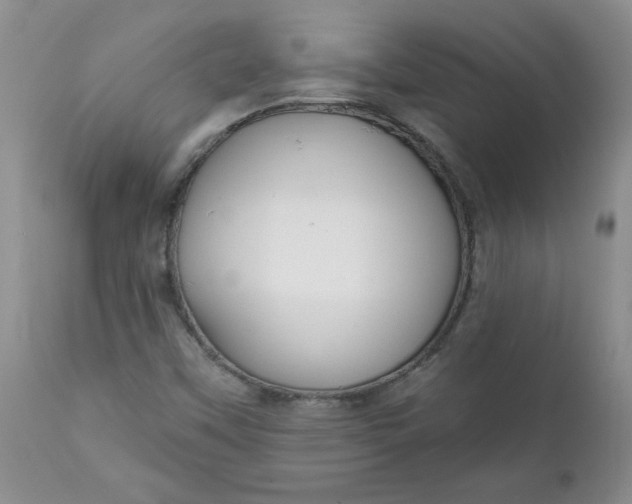 X0000112021451200908241503