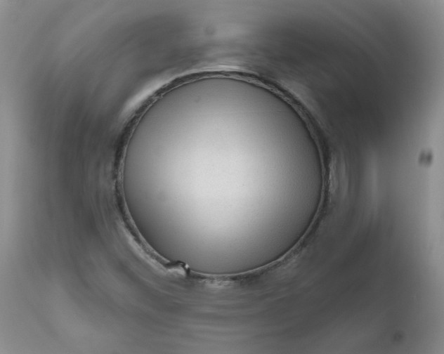 X0000112021452200908241503