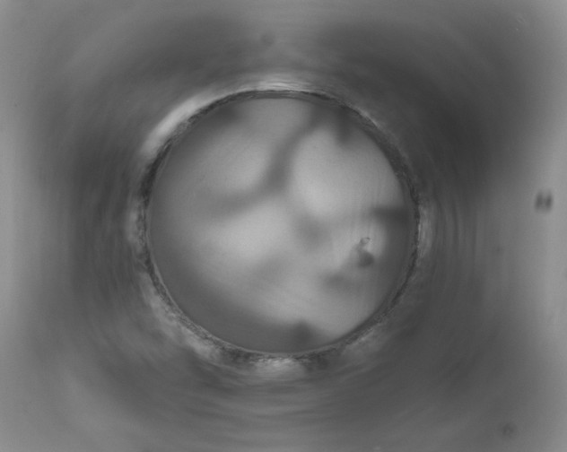 X0000112021454200908241503