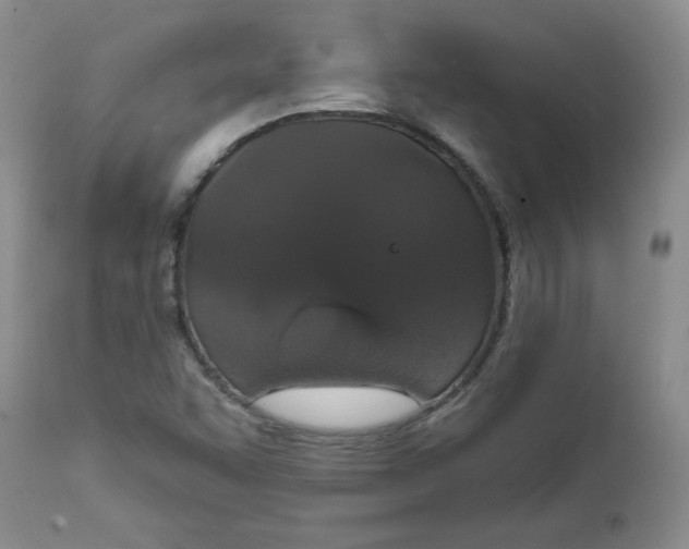 X0000112021455200908241503