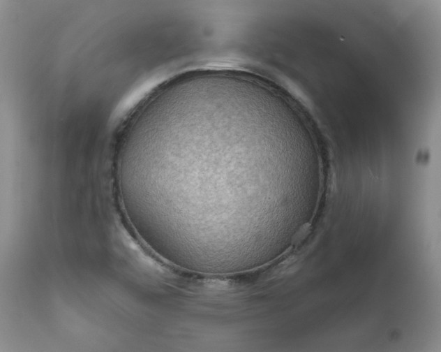 X0000112021456200908241503