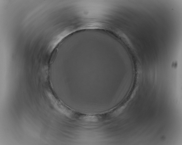 X0000112021457200908241503