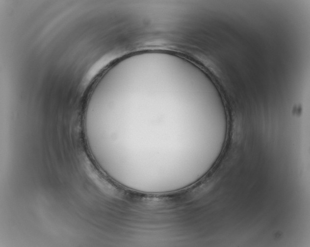 X0000112021458200908241503