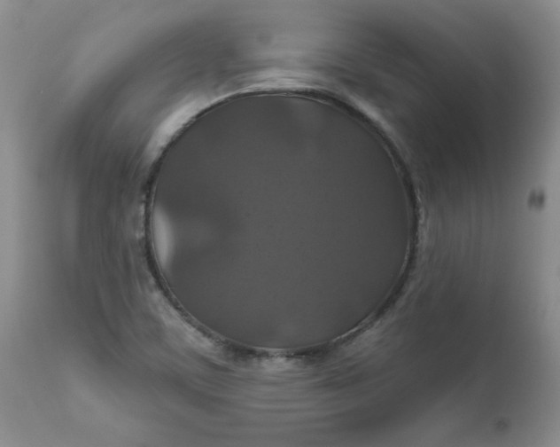 X0000112021459200908241503