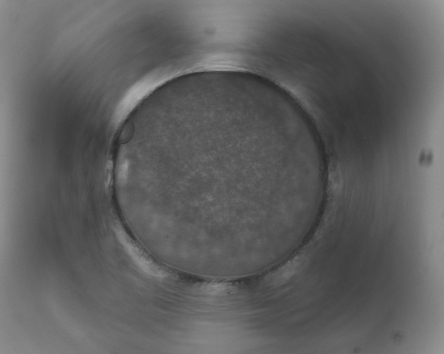 X0000112021461200908241503