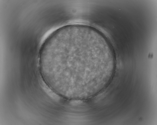 X0000112021462200908241503