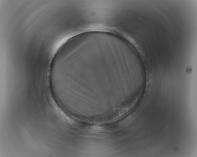 X0000112021463200908241503