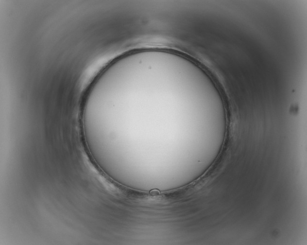 X0000112021464200908241503