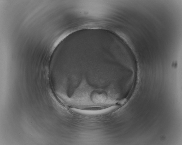 X0000112021465200908241503