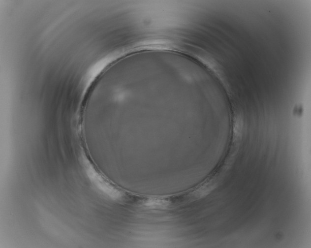 X0000112021466200908241503