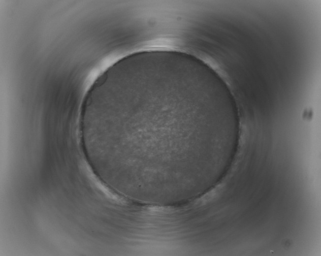 X0000112021469200908241503