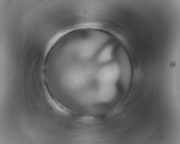 X0000112021470200908241503