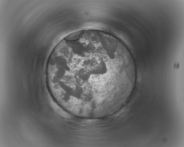 X0000112021471200908241503