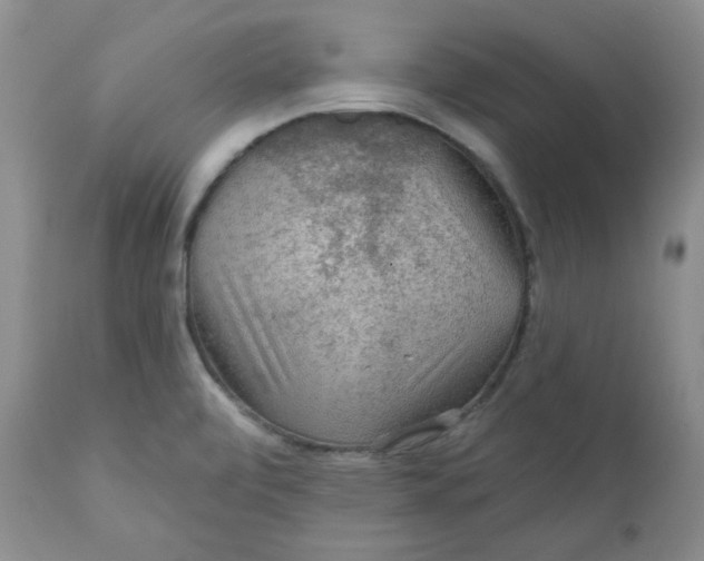 X0000112021472200908241503