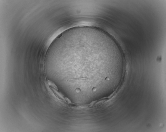 X0000112021473200908241503