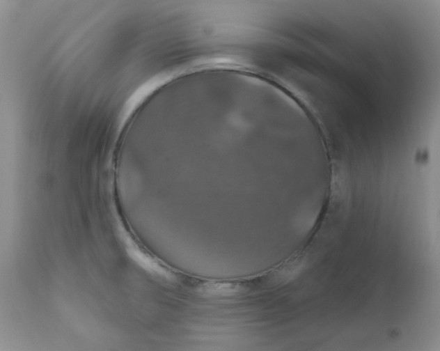 X0000112021474200908241503