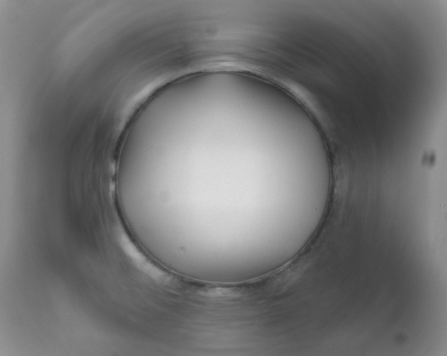 X0000112021476200908241503