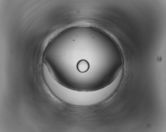 X0000112021477200908241503