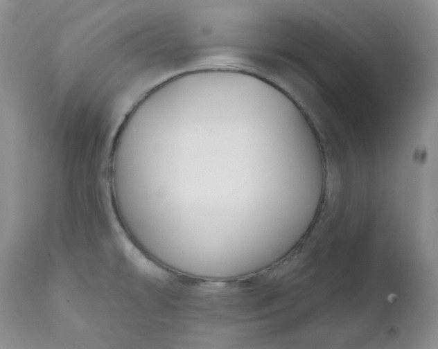 X0000112021478200908241503