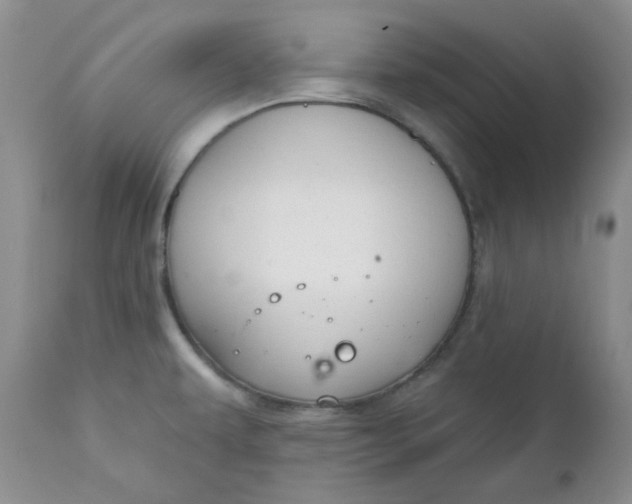 X0000112021479200908241503