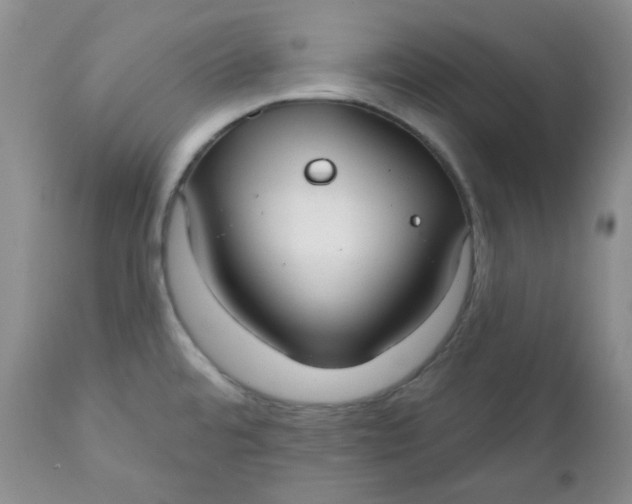 X0000112021480200908241503