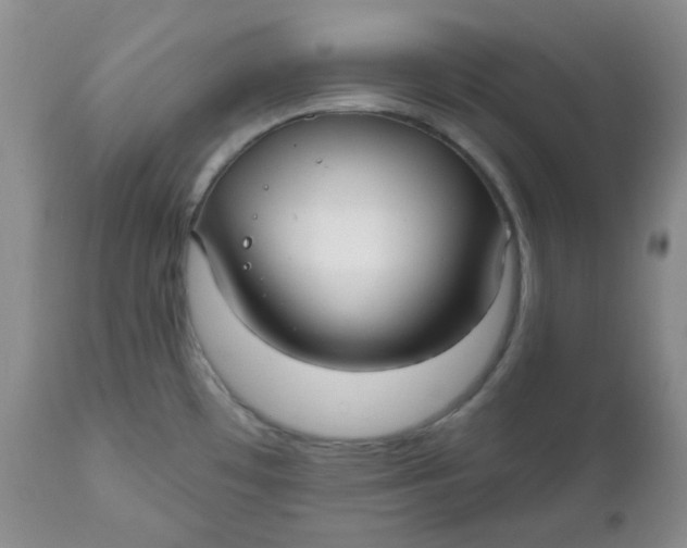 X0000112021481200908241503