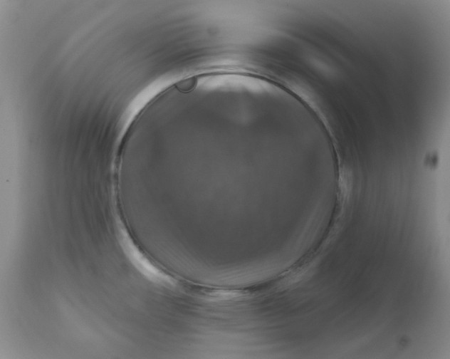 X0000112021482200908241503