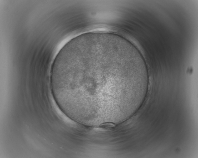 X0000112021483200908241503