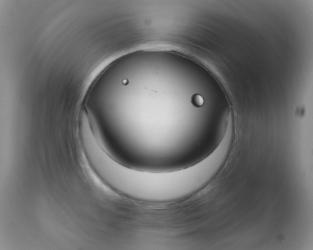 X0000112021484200908241503