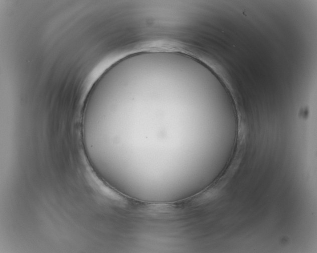 X0000112021486200908241503