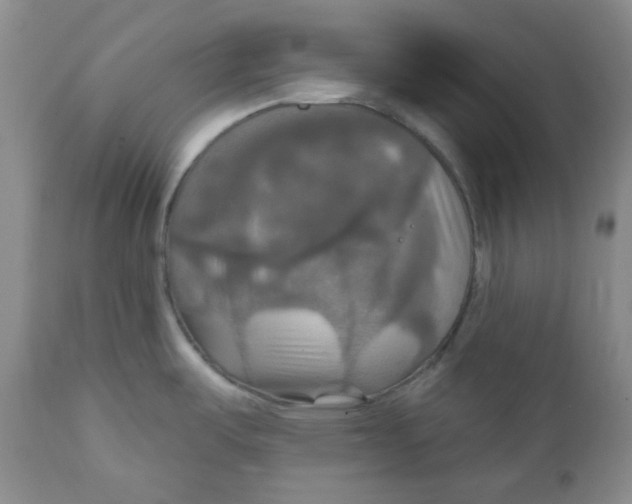 X0000112021487200908241503