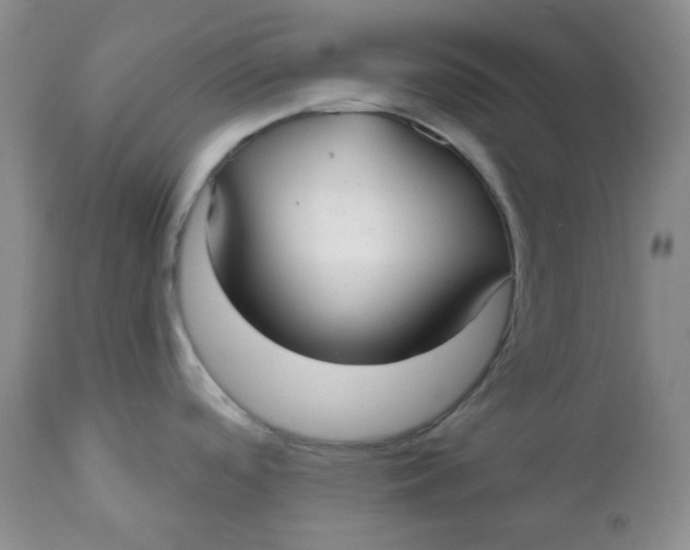 X0000112021488200908241503