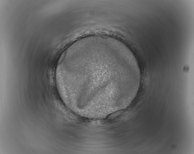 X0000112021490200908241502