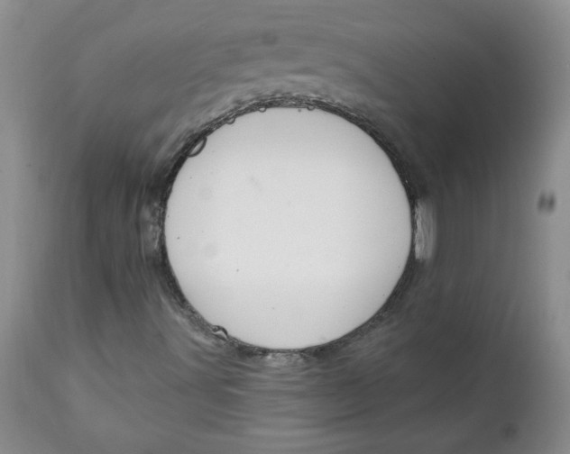 X0000112021491200908241502