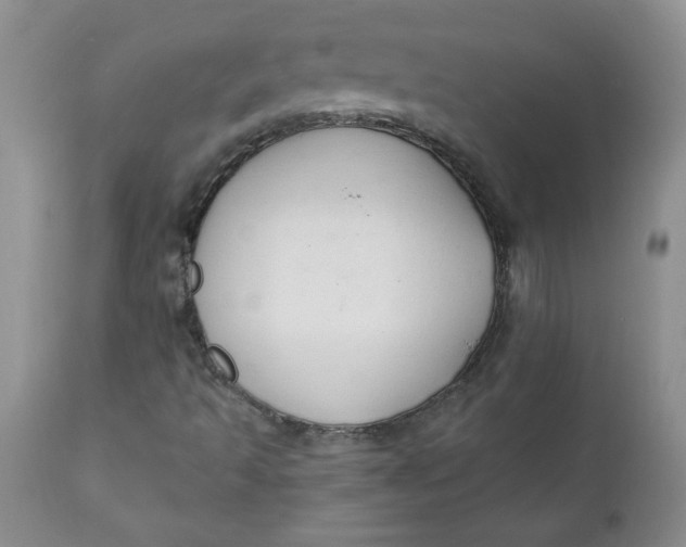 X0000112021493200908241502