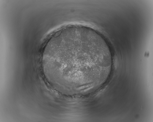 X0000112021494200908241502