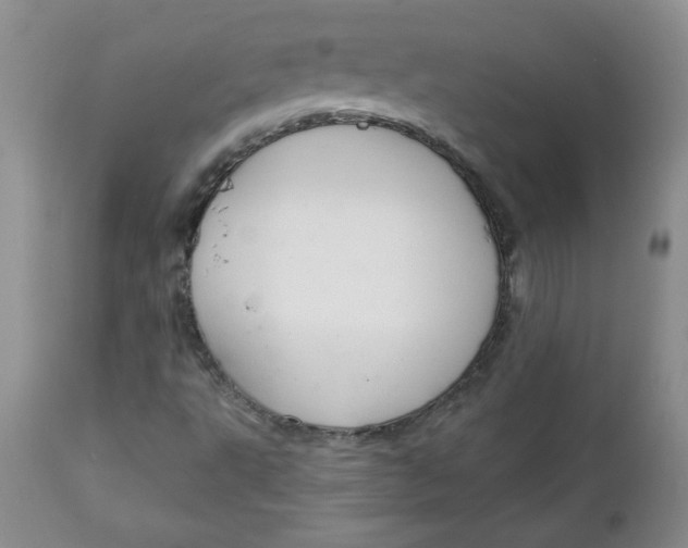 X0000112021495200908241502