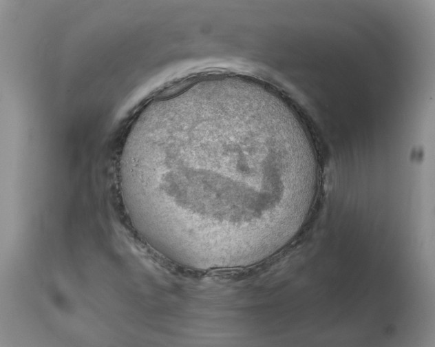 X0000112021496200908241502