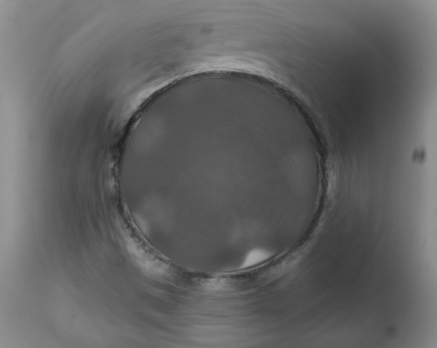 X0000112021497200908241502