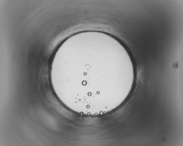 X0000112021498200908241502