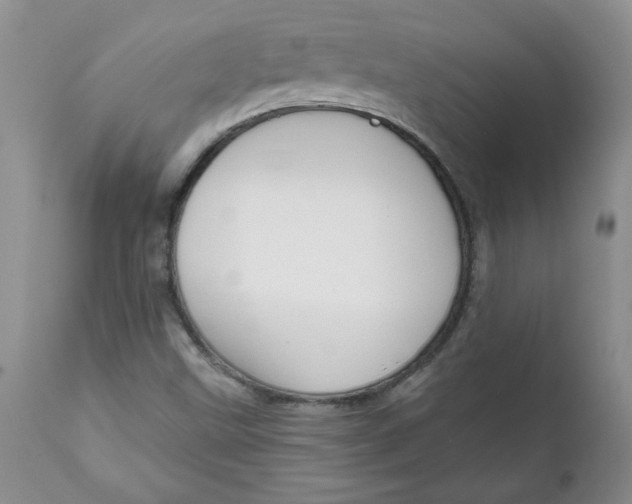 X0000112021499200908241502