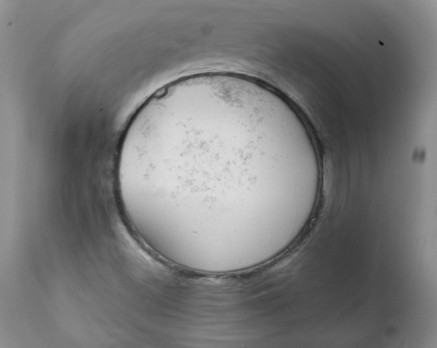 X0000112021500200908241502