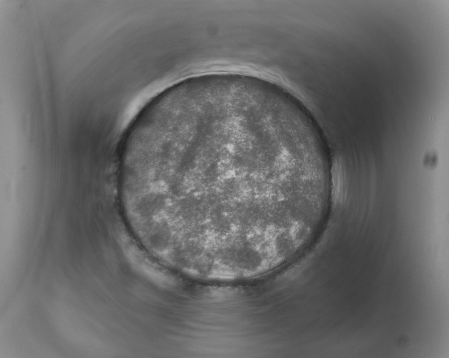 X0000112021501200908241502