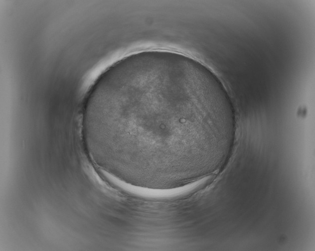 X0000112021503200908241502