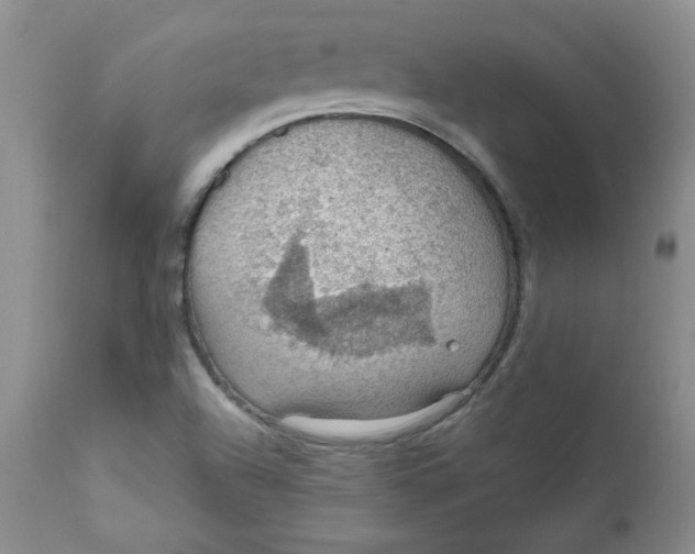 X0000112021504200908241502