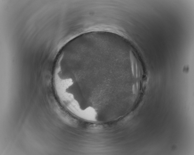 X0000112021505200908241502