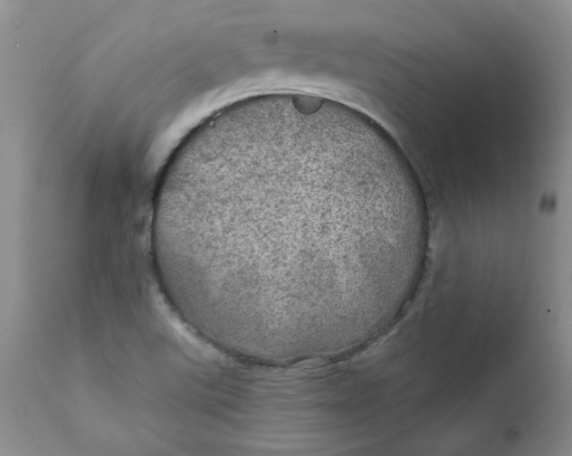 X0000112021507200908241502