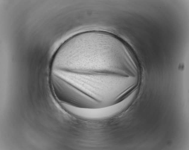 X0000112021508200908241502